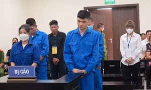 Kiếm tiền bất hợp pháp từ mang thai hộ, anh chị em ruột cùng vào tù