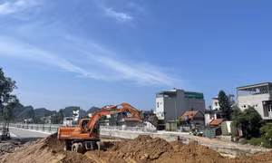 Phường Cẩm Đông: Chủ động ứng phó với thiên tai