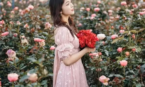Đốn tim với vẻ đẹp thơ mộng của Thung lũng Hồng Đà Lạt