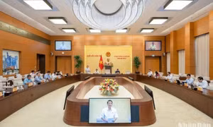 Ủy ban Thường vụ Quốc hội cho ý kiến về việc giải trình, tiếp thu, chỉnh lý dự án Luật Viễn thông (sửa đổi).