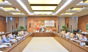 Quốc hội điện tử cần tạo môi trường để tương tác với cử tri, người dân