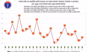Ngày 6/8: Ca COVID-19 mới tăng nhẹ, 3 bệnh nhân đang thở oxy