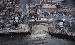 Thảm họa cháy rừng ở Hawaii: Ít nhất 1.100 người mất tích