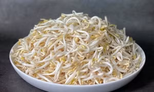 Nên ăn giá đỗ sống hay chần qua nước sôi?