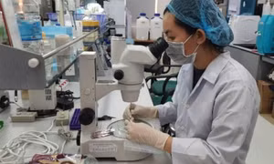 Nghiên cứu chính sách đãi ngộ vượt trội cho người làm khoa học
