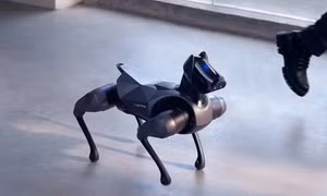 Trung Quốc ra mắt chó robot có thể múa ba lê, đi bộ trên Mặt Trăng