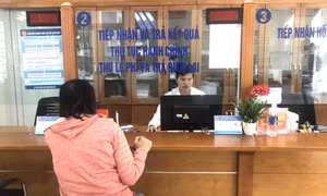 Quy định về thời hạn thẩm định đề án vị trí việc làm