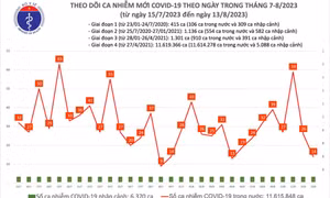 Ngày 13/8: Có 14 ca COVID-19 mới, thấp nhất trong tuần