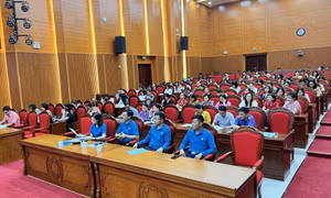 LĐLĐ TP Hạ Long: Tập huấn, bồi dưỡng cán bộ công đoàn cơ sở 