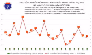 Ngày 3/8: Có 25 ca COVID-19 mới, 4 bệnh nhân đang thở oxy