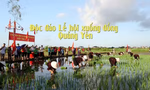Độc đáo Lễ hội xuống đồng Quảng Yên