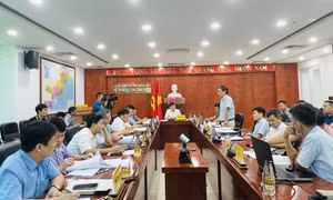 Nghiên cứu đánh giá hiện trạng, bảo tồn hòn Trống Mái, Vịnh Hạ Long