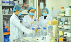 Phê duyệt Chiến lược quốc gia về thu hút, trọng dụng nhân tài