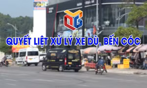 Quyết liệt xử lý “xe dù, bến cóc”