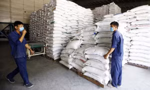 Giải pháp bình ổn thị trường gạo trong nước