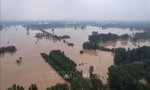Lũ lụt ở Trung Quốc có thể gây áp lực lên giá lương thực toàn cầu