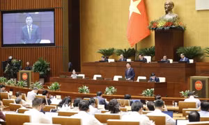 Nâng cao hiệu quả đấu giá tài sản, giám định tư pháp
