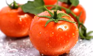 Top 5 loại thực phẩm giúp loại bỏ 'cholesterol xấu' ra khỏi cơ thể
