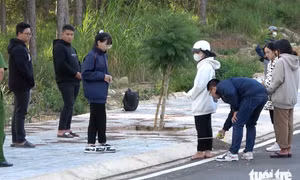 Khởi tố 4 bị can trong vụ hành hung nữ sinh tại Đà Lạt