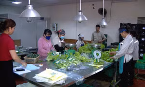 Phát triển nông nghiệp đô thị
