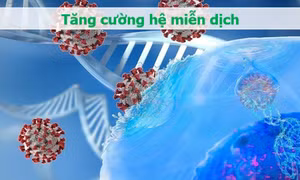 Phần hay bỏ đi khi ăn thịt gà lại đặc biệt tốt cho xương khớp, tim mạch