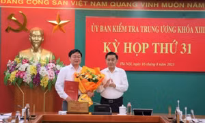 Bộ Chính trị chuẩn y Phó Chủ nhiệm Ủy ban Kiểm tra TW Nguyễn Văn Quyết