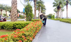 Chuyện về những người làm đẹp phố phường 