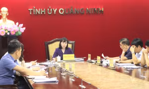 Góp ý sửa đổi quy định về tổ chức bộ máy cơ quan chuyên trách tham mưu của tỉnh ủy, thành ủy