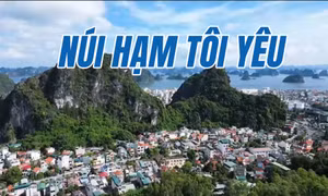 Tác giả - Tác phẩm: Núi Hạm tôi yêu