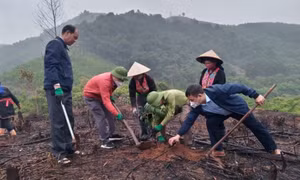 “Sớm ban hành chính sách mới khuyến khích, hỗ trợ phát triển lâm nghiệp bền vững”