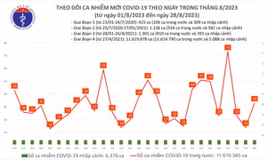 Ngày 28/8: Ca mắc COVID-19 mới tăng lên 33
