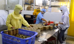 Vân Đồn: Siết chặt quản lý an toàn thực phẩm