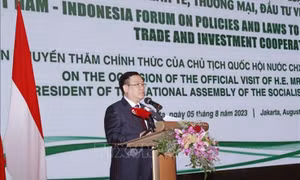Diễn đàn chính sách, pháp luật thúc đẩy hợp tác kinh tế, thương mại và đầu tư Việt Nam - Indonesia