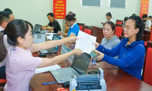 Hoàn thành giải ngân 100% vốn phát triển sản xuất trong tháng 12/2024