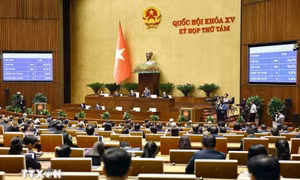 Thông qua Nghị quyết Kỳ họp thứ 8, Quốc hội khóa XV