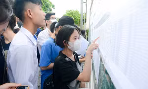 Đề minh họa kỳ thi V-SAT 2025 xét tuyển vào đại học