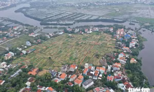 Làng rau cổ gần 400 năm ở Hội An thành 'làng du lịch tốt nhất thế giới'