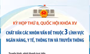 Quốc hội chất vấn các nhóm vấn đề về ngân hàng, y tế, thông tin và truyền thông
