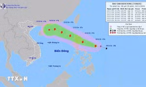Các tỉnh từ Quảng Ninh đến Bình Định chủ động ứng phó cơn bão số 8