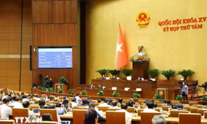 Kỳ họp thứ 8, Quốc hội khóa XV: Thông qua Luật Di sản văn hóa (sửa đổi)