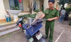 Bắt đối tượng giả làm lao công gây ra hàng loạt vụ trộm cắp