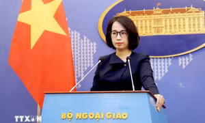 Thông tin về việc Hoa Kỳ bàn giao 5 máy bay huấn luyện cho Việt Nam