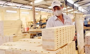 Xuất khẩu gỗ và sản phẩm gỗ có thể vượt 16 tỷ USD