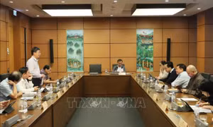 Cân nhắc kỹ lộ trình tăng thuế tiêu thụ đặc biệt