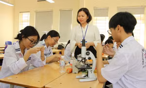 Cô giáo Bùi Thị Hiền - Giáo viên tiêu biểu toàn quốc 