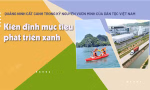 Kiên định mục tiêu phát triển xanh