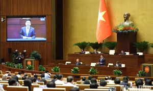 Tăng cường quản lý hóa chất nguy hiểm để bảo vệ sức khỏe cộng đồng