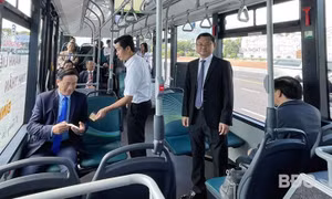 Bình Định và Vingroup hợp tác toàn diện về chuyển đổi xanh