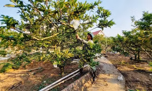HND xã Việt Dân học và làm theo Bác