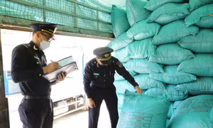 Nỗ lực hoàn thành kế hoạch năm